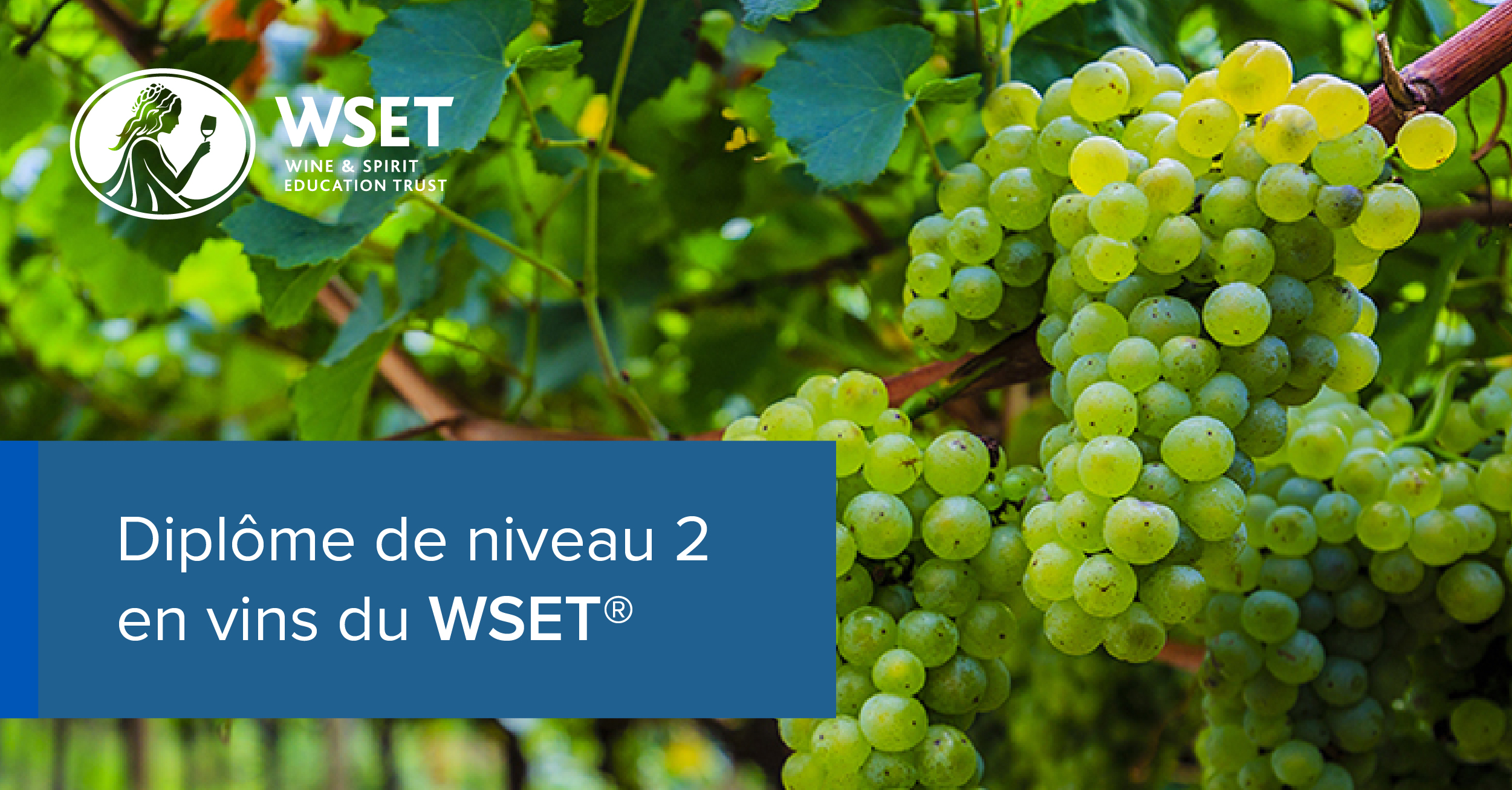 FR_Wines, Level 2 Award (1200x627)